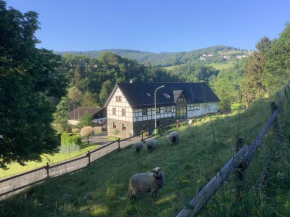Berg Blick Eifler Bauernhaus modern restauriert